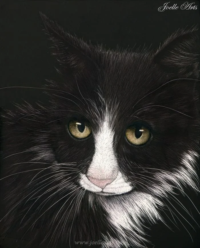 Cat_Ruckus_wtrmk.jpg