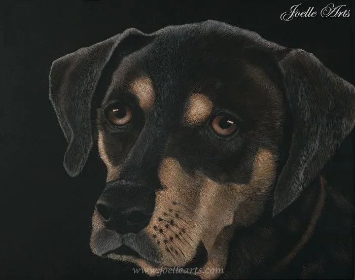 Dog_Dinali_wtrmk.jpg
