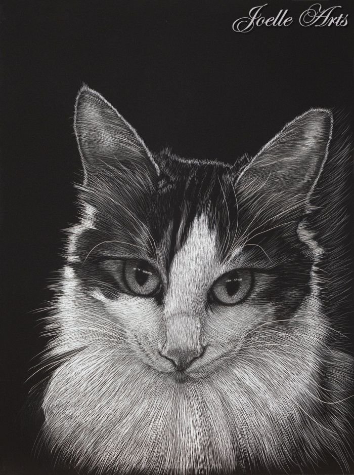 Cat_Breaker_wtrmk.jpg