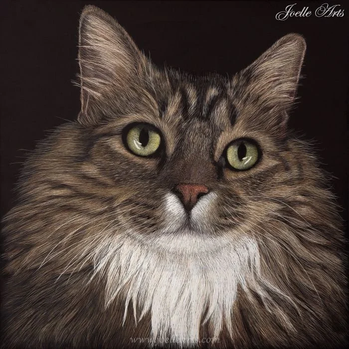 Cats_Olive_wtrmk.jpg