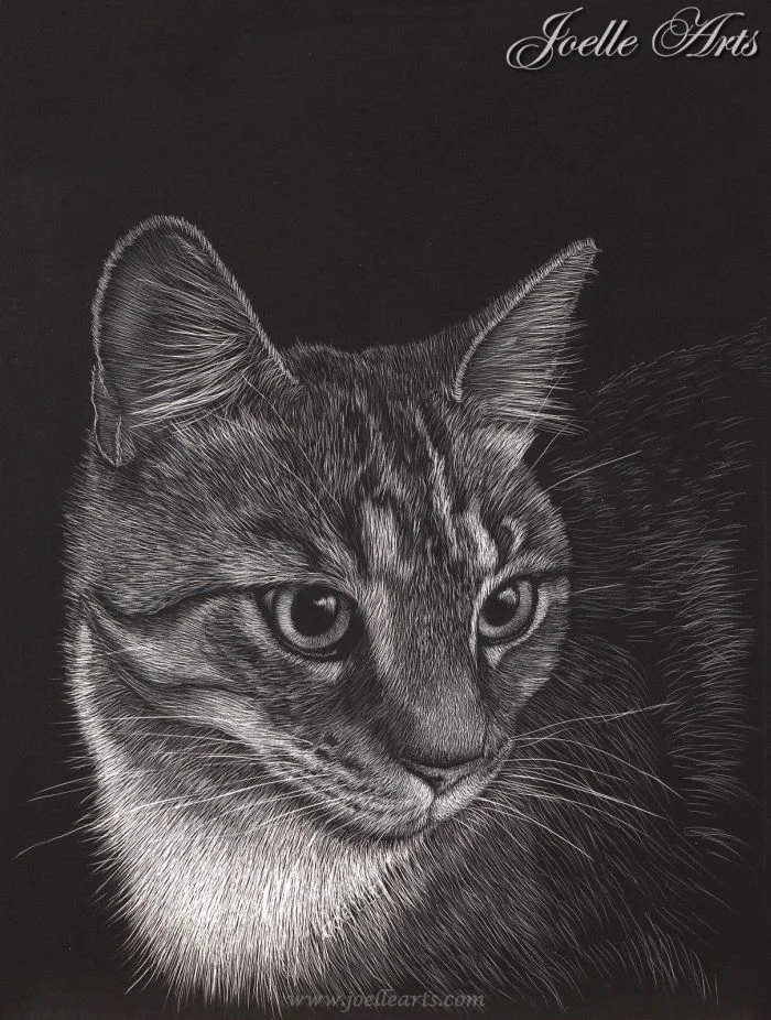 Cat_Kiki_wtrmk.jpg