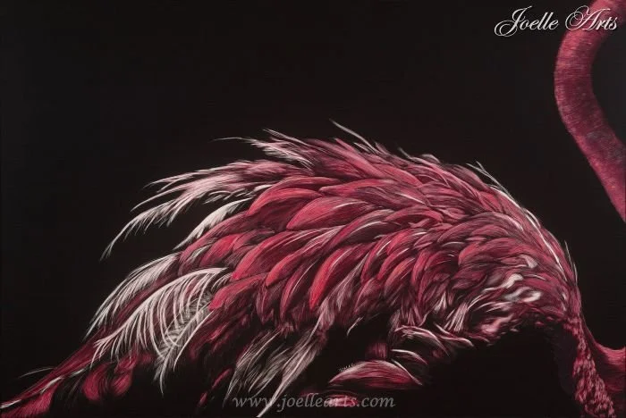 Wildlife_Flamingo_wtrmk.jpg