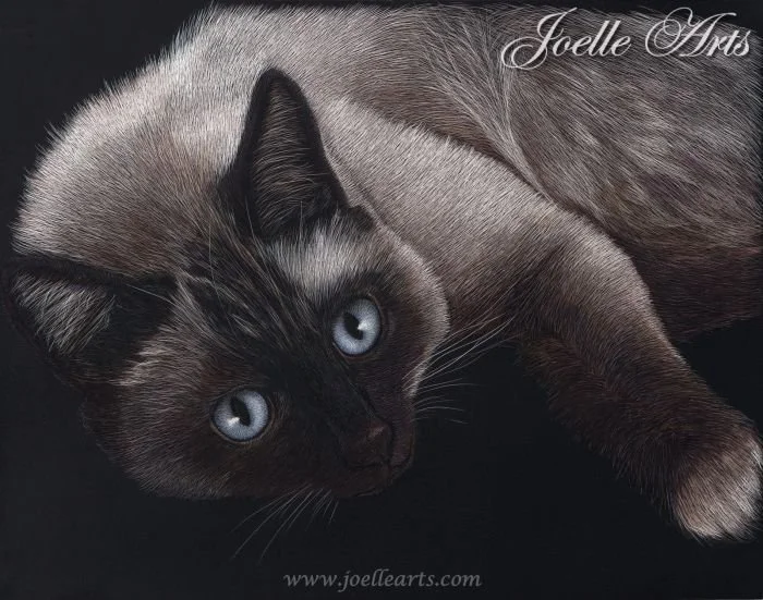 Cat_Old+Blue+Eyes_wtrmk.jpg