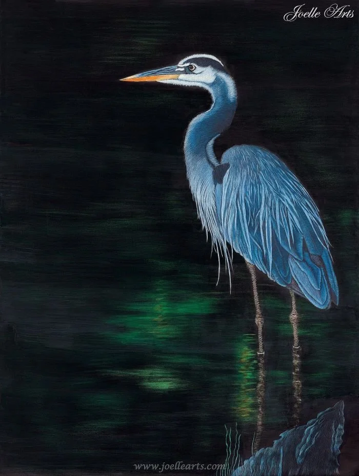 Wildlife_Night+Fisher_wtrmk.jpg