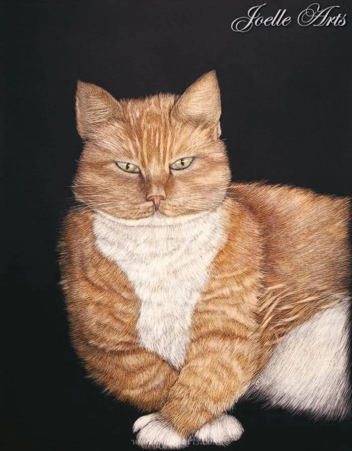 Cat_Cloe_wtrmk.jpg
