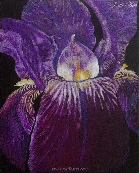 Florals_Dar's+Iris_wtrmk.jpg