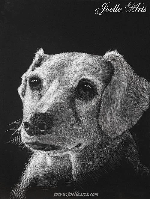 Dog_Kiko_wtrmk.jpg