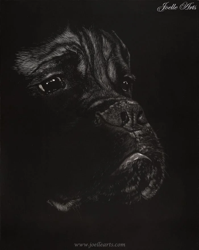 Dog_Max_wtrmk.jpg