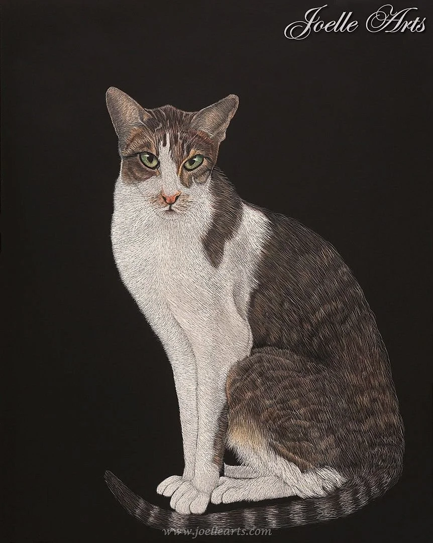 Cat_Taan+Sumai_wtrmk.jpg
