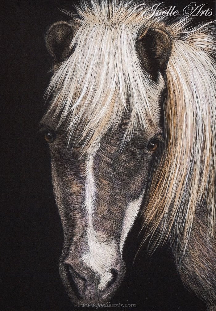Horse_Sassy_wtrmk.jpg