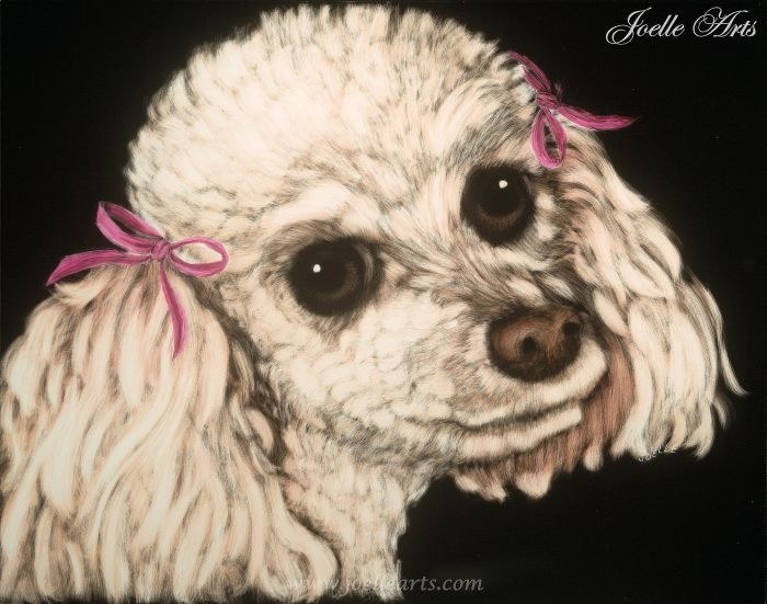 Dogs_Sherry_wtrmk.jpg