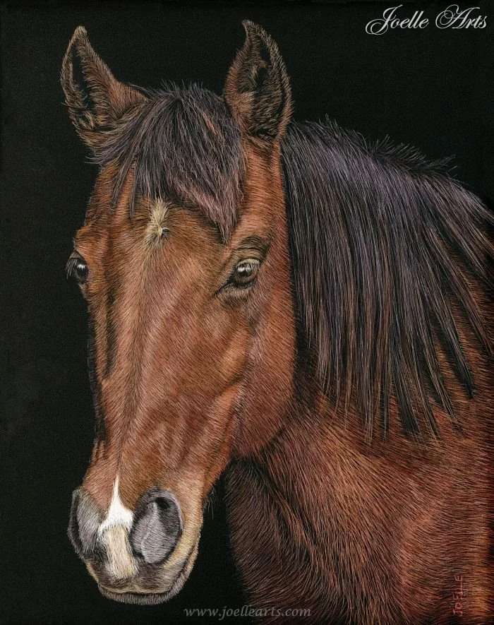 Horse_K.C_wtrmk.jpg