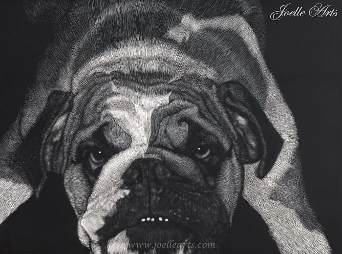 Dog_Dozer_wtrmk.jpg