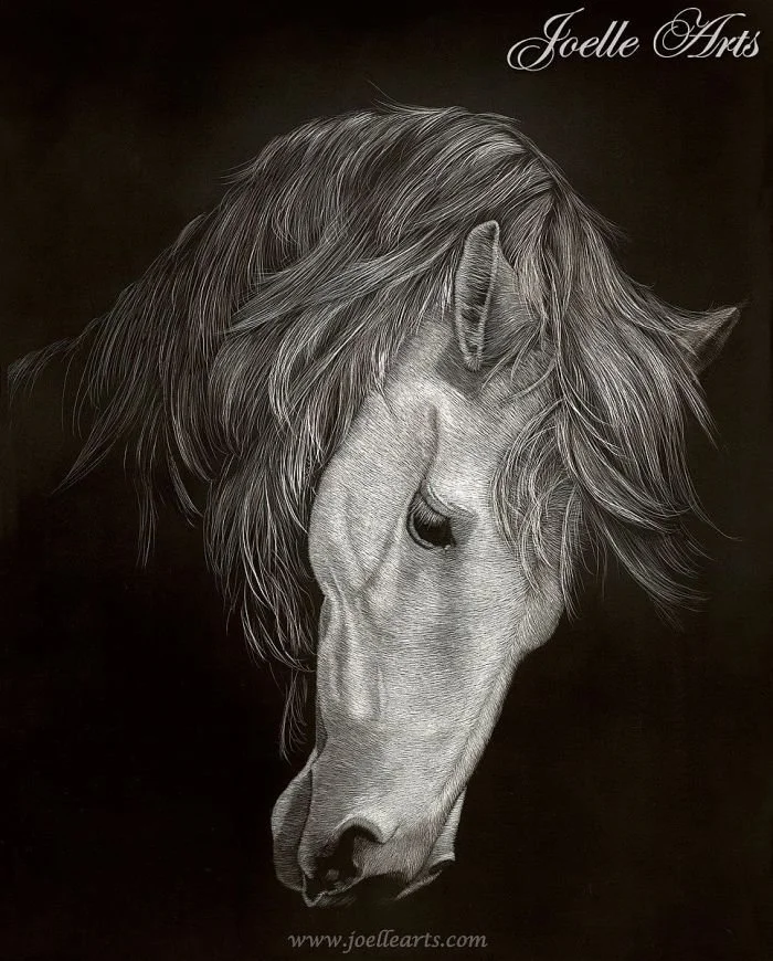Horse_Samson_wtrmk.jpg