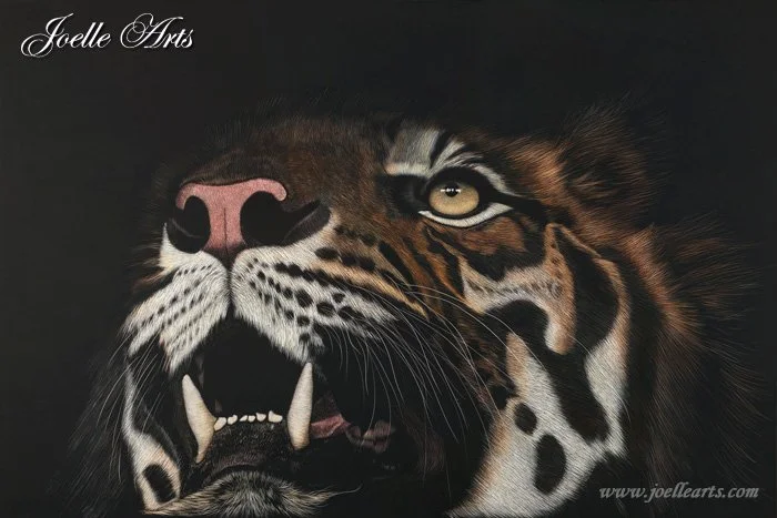 Wildlife_Beauty+in+the+Beast_wtrmk.jpg