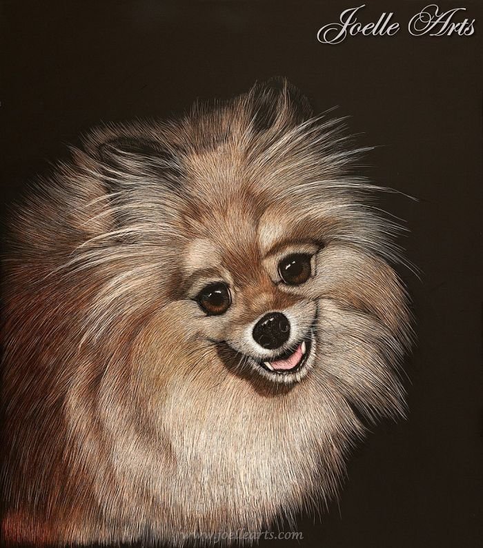 Dog_Brandi_wtrmk.jpg