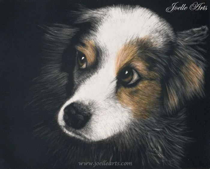 Dog_Annie_wtrmk.jpg