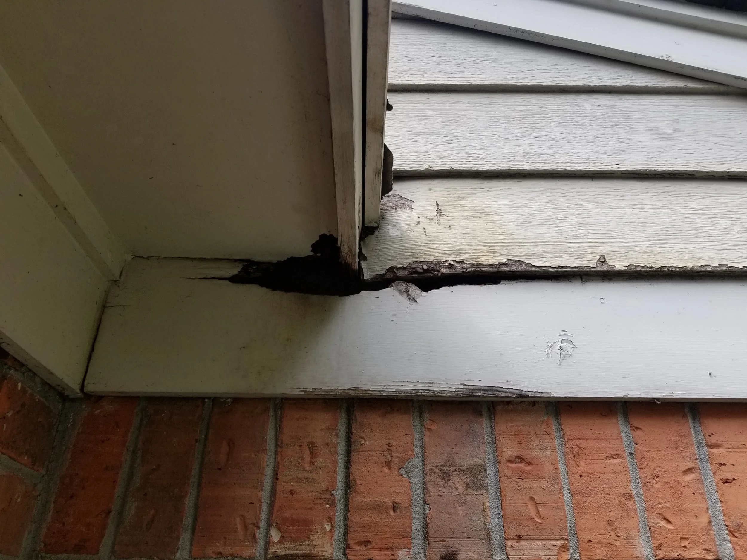exclusion repair before 7594 Iris.jpg