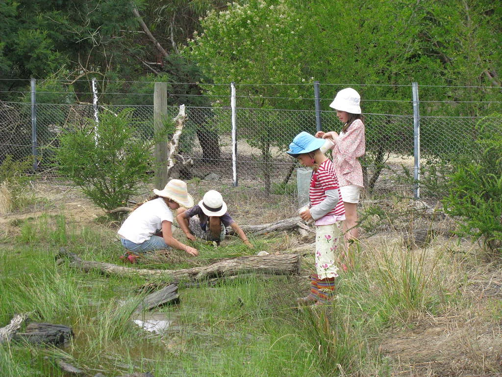 FWCSS-Sustainability-IMG_1313-web.jpg