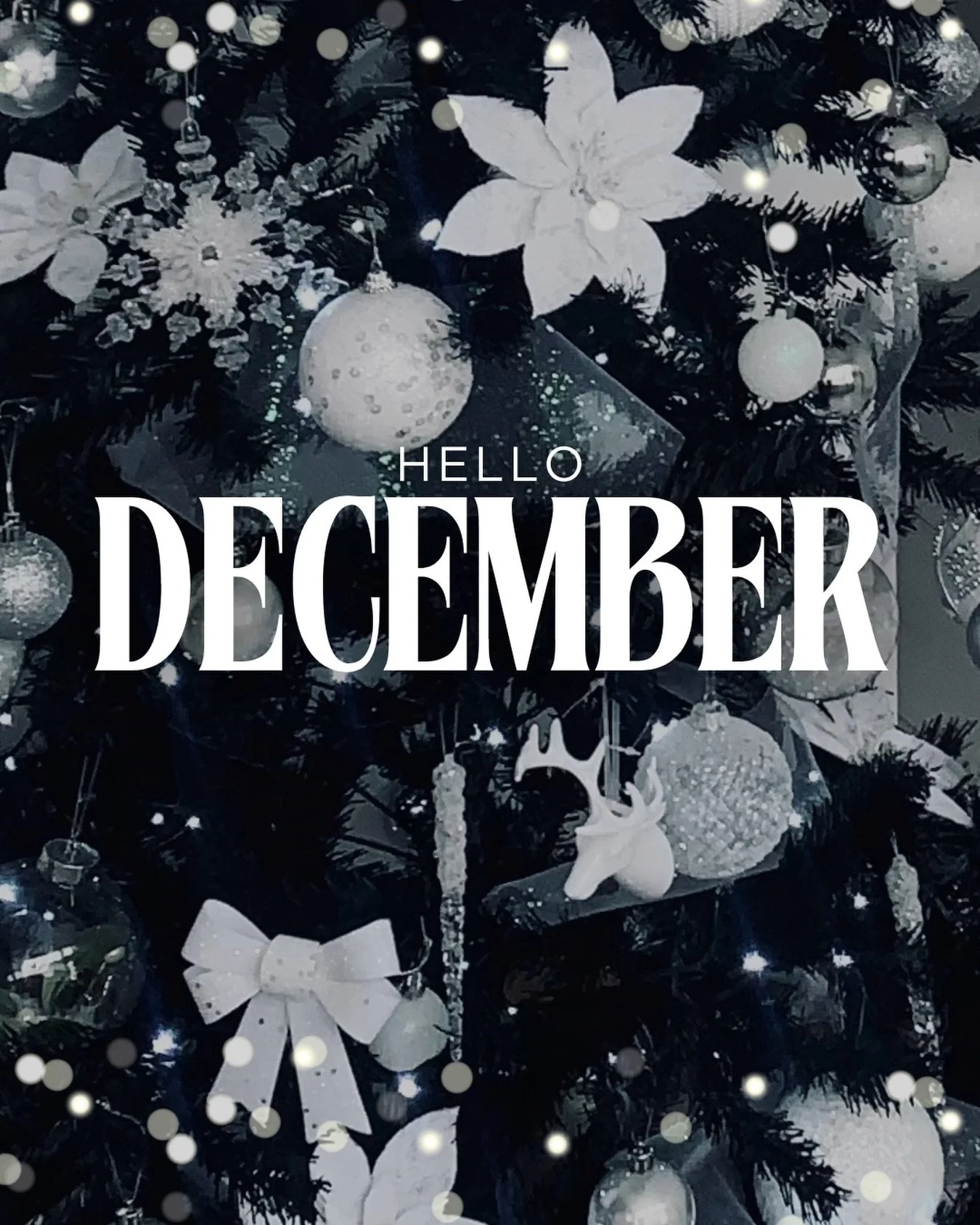 Hello December ❄️
The season of sparkle has officially arrived, and we&rsquo;re here for every moment of it. As we step into the cosiest month of the year, our salon is all about glow-ups, self-care, and a touch of holiday magic. Treat yourself this 