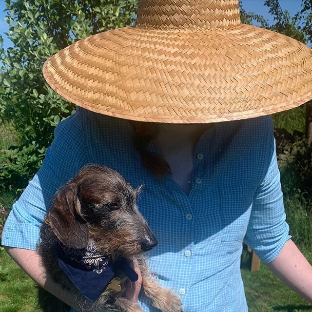 We were so used to sunshine, it&rsquo;s been a bit of a blow to have had days of dull dreich weather. So we were very happy to see some sunshine yesterday , and 👨🏻👩🏼 enjoy a Fab 🍦 , which is a bit of an after lunch ritual. The key to a long marr