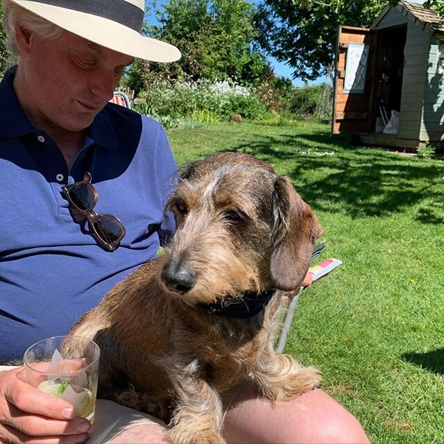 Happy Fathers Day #fathersday #dailydachshund #inthegarden #weloveourdaddy