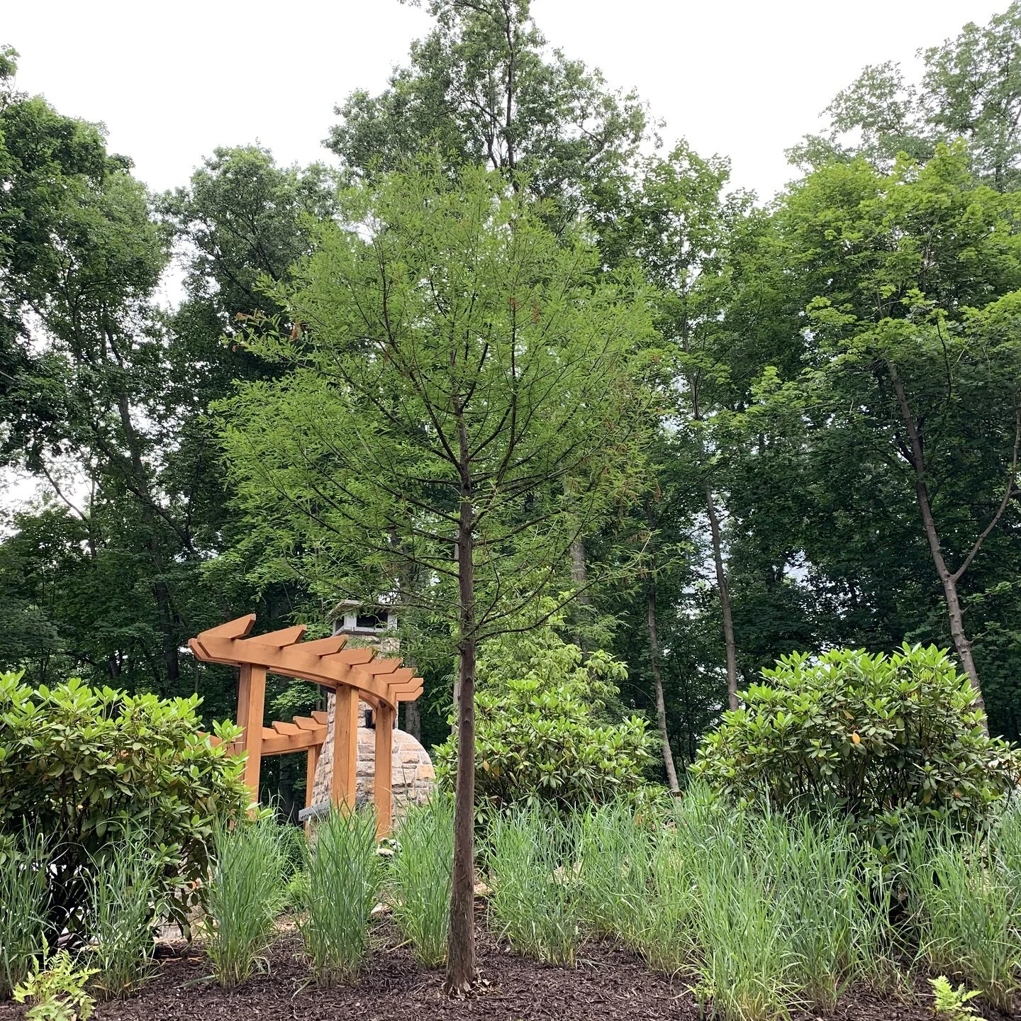 Landscaping in Chatham Township, NJ BTS Landscaping