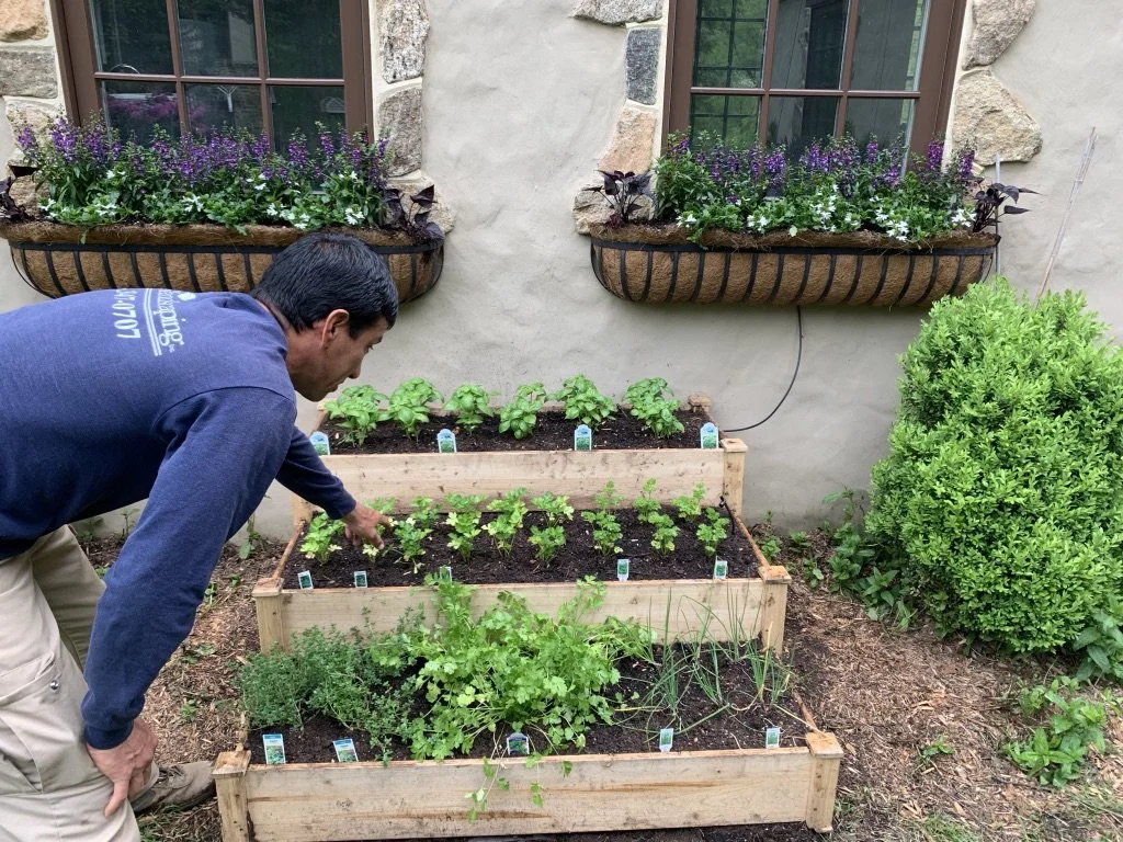 Gardening Crew Member Landscaping jobs in Morris Township, NJ BTS