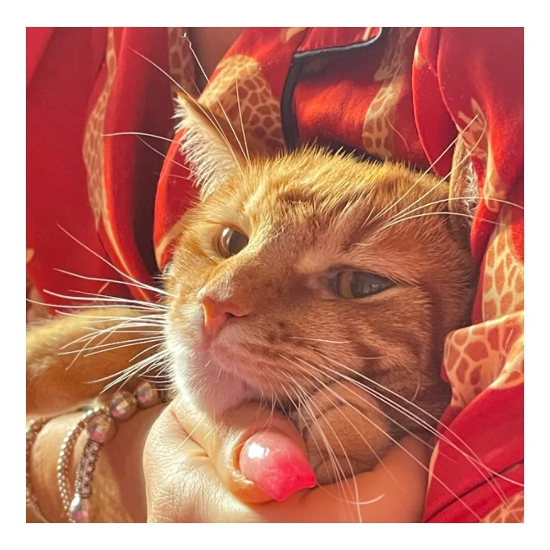 Me and my Ascended Master(ess) Whiskey this morning 🥰 Here&rsquo;s to love, grace, being in the moment and everything else she teaches me every day &hellip; #cats