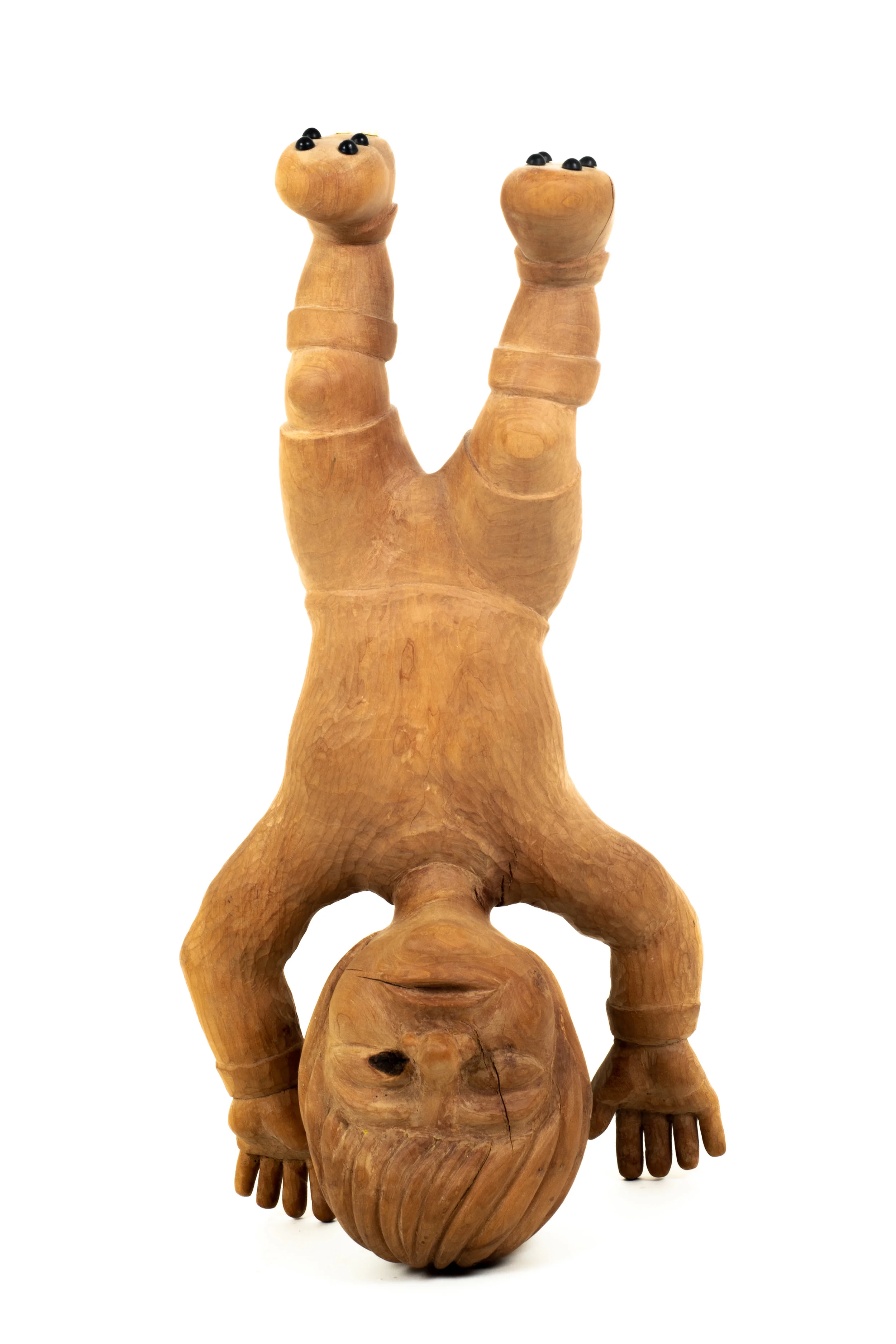 Buteur_front.jpg