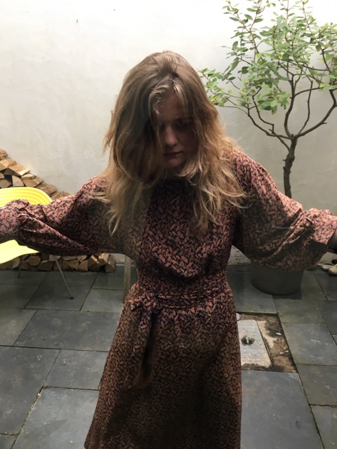 fawn fighting 2.jpeg