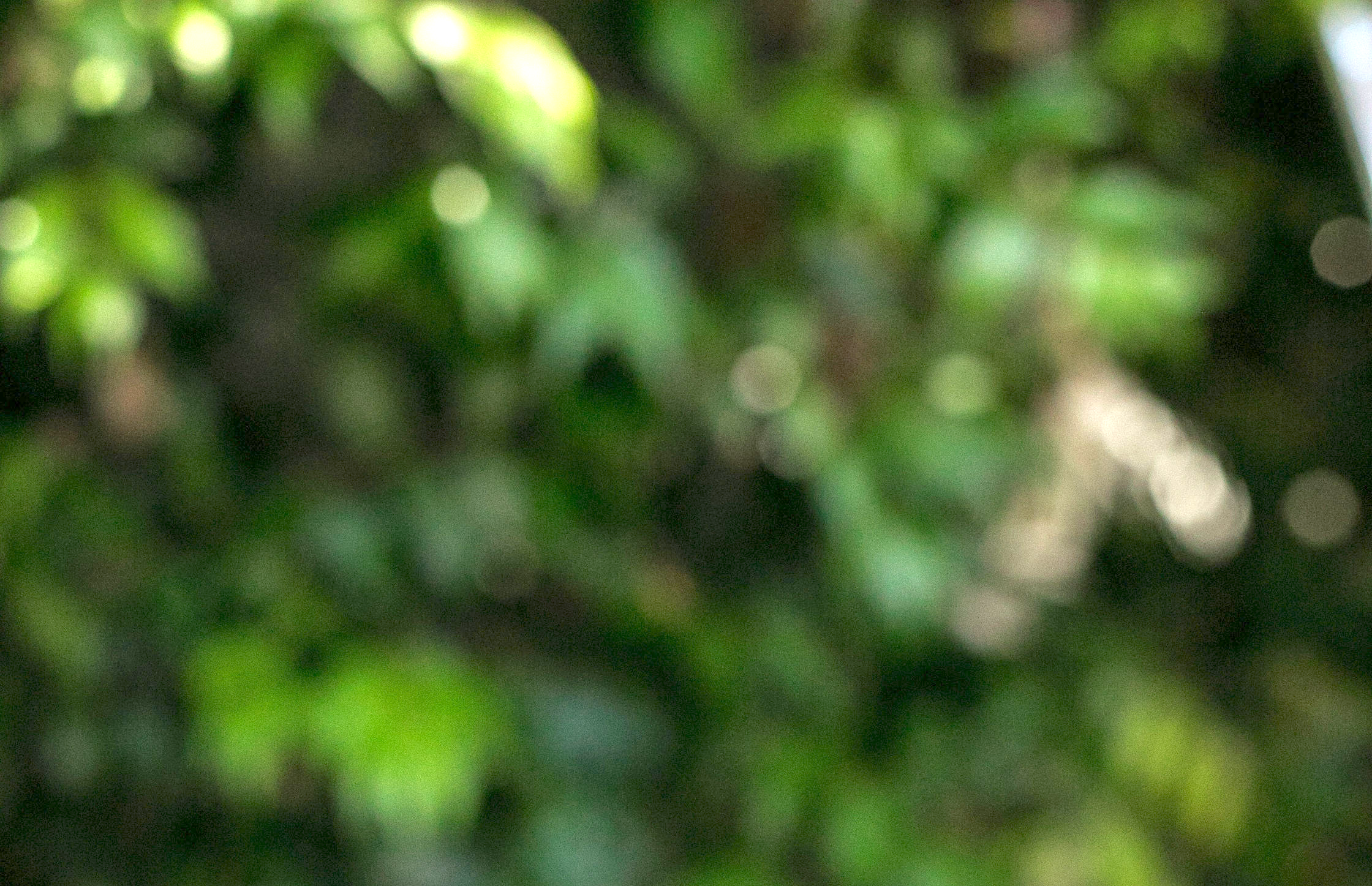 greenery.png