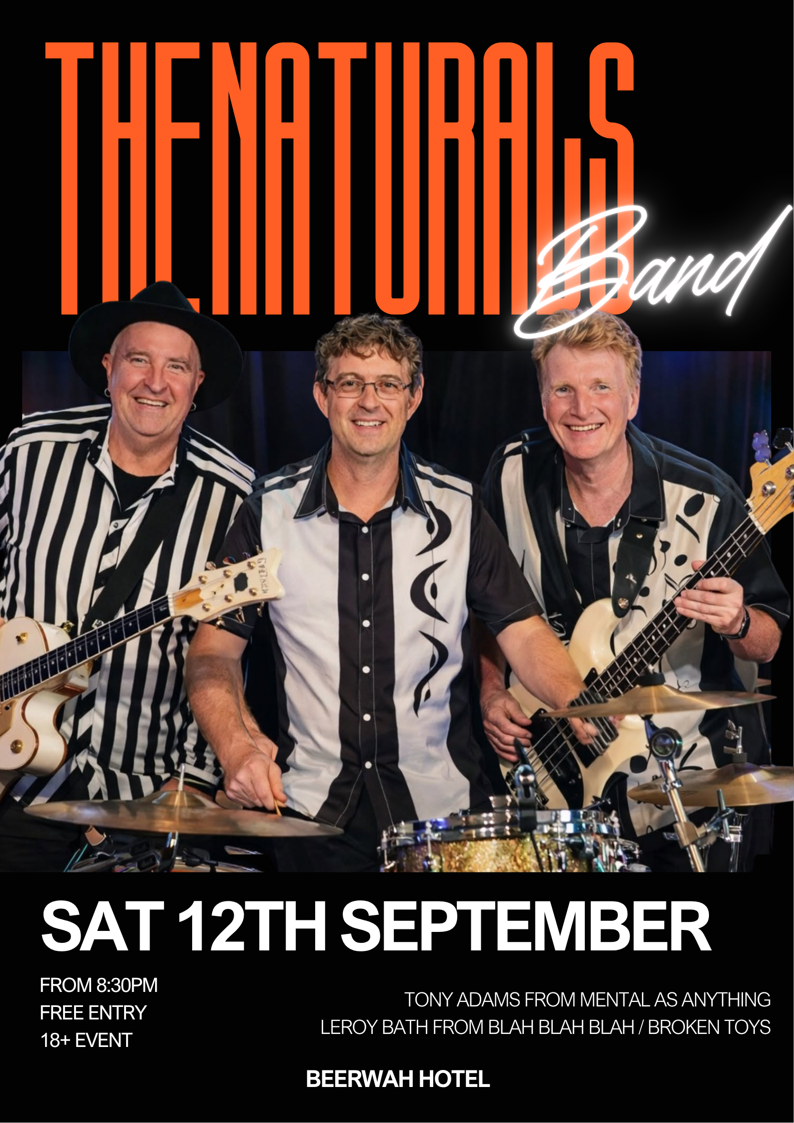 The Naturals Band.png