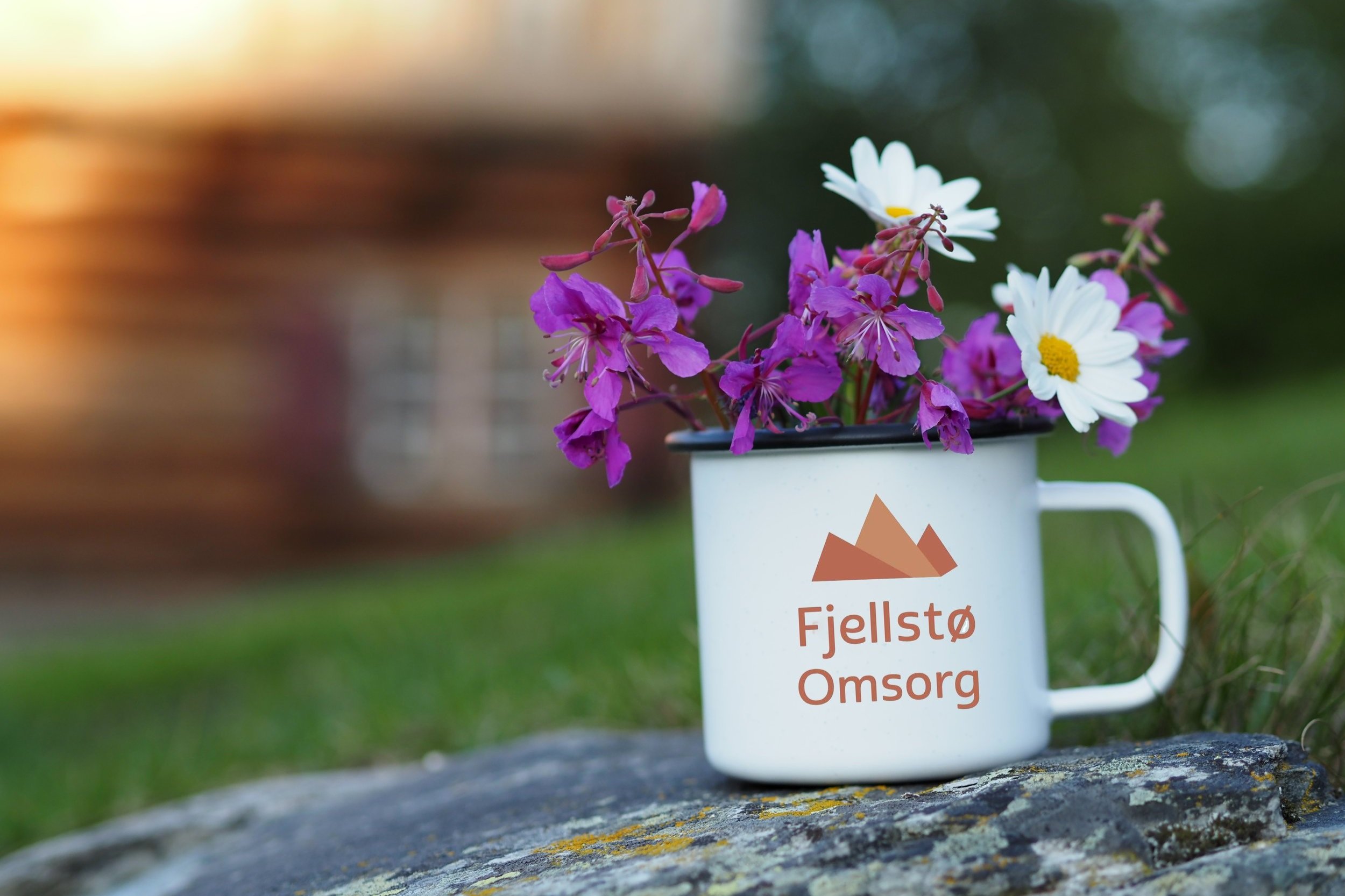 kopp logo P1010292.jpg