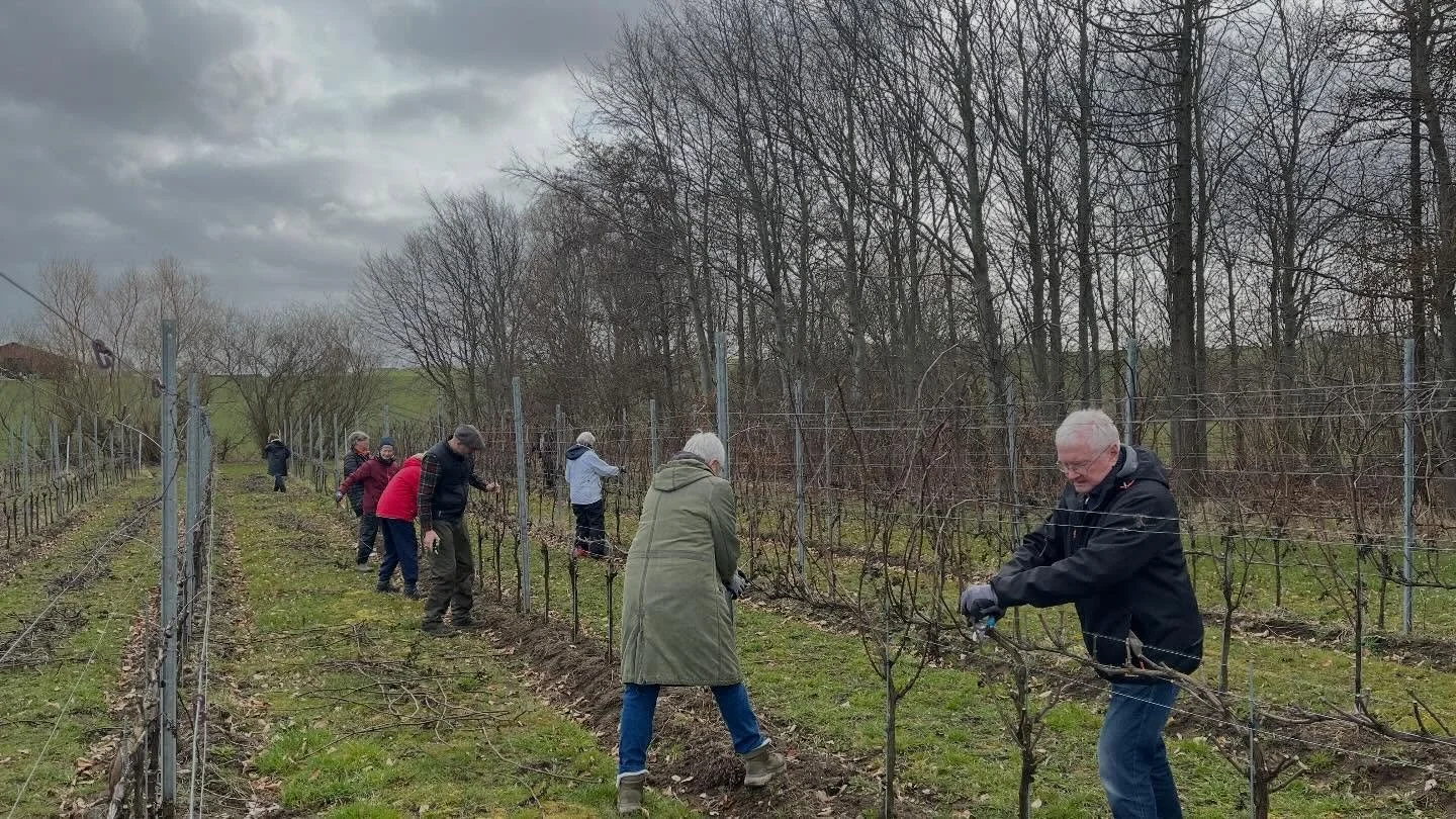 K&aelig;mpe tak til Annette, Bitten, Hanne, Hanne, Jan, Elisabeth, Susanne, Puk, Karina, Bo, Aslak, Valdemar, Bj&oslash;rn, Ulla, S&oslash;ren og S&oslash;ren for jeres store indsats i dag✂️ I fik vinterbesk&aring;ret hele pinot marken i dag - virkel