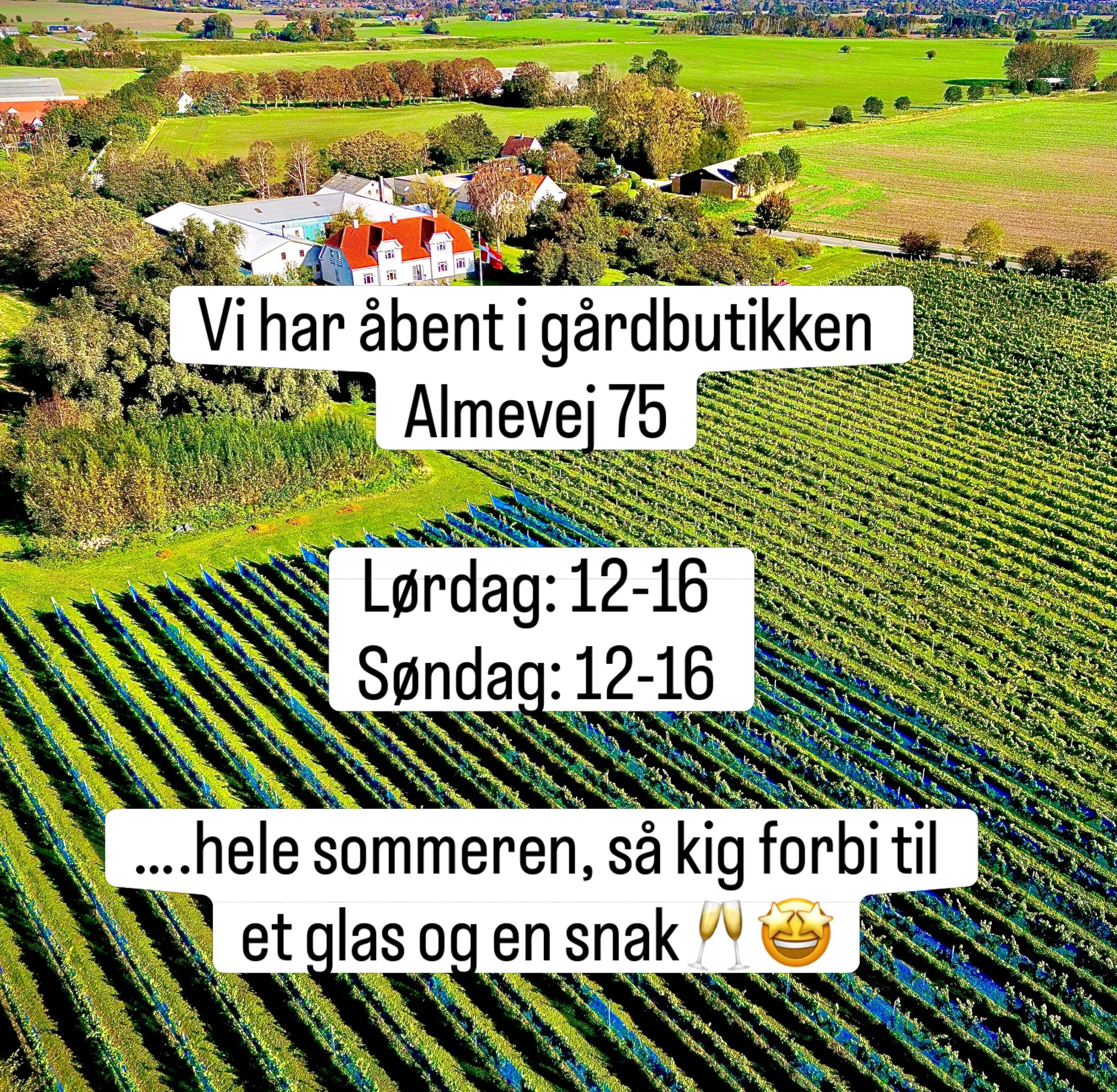 H&aring;ber vi ses @gillelejewine #kattegatp&aring;flaske #h&aring;gendruppinotnoirprecoce #gilleleje #danskvin #danishwine