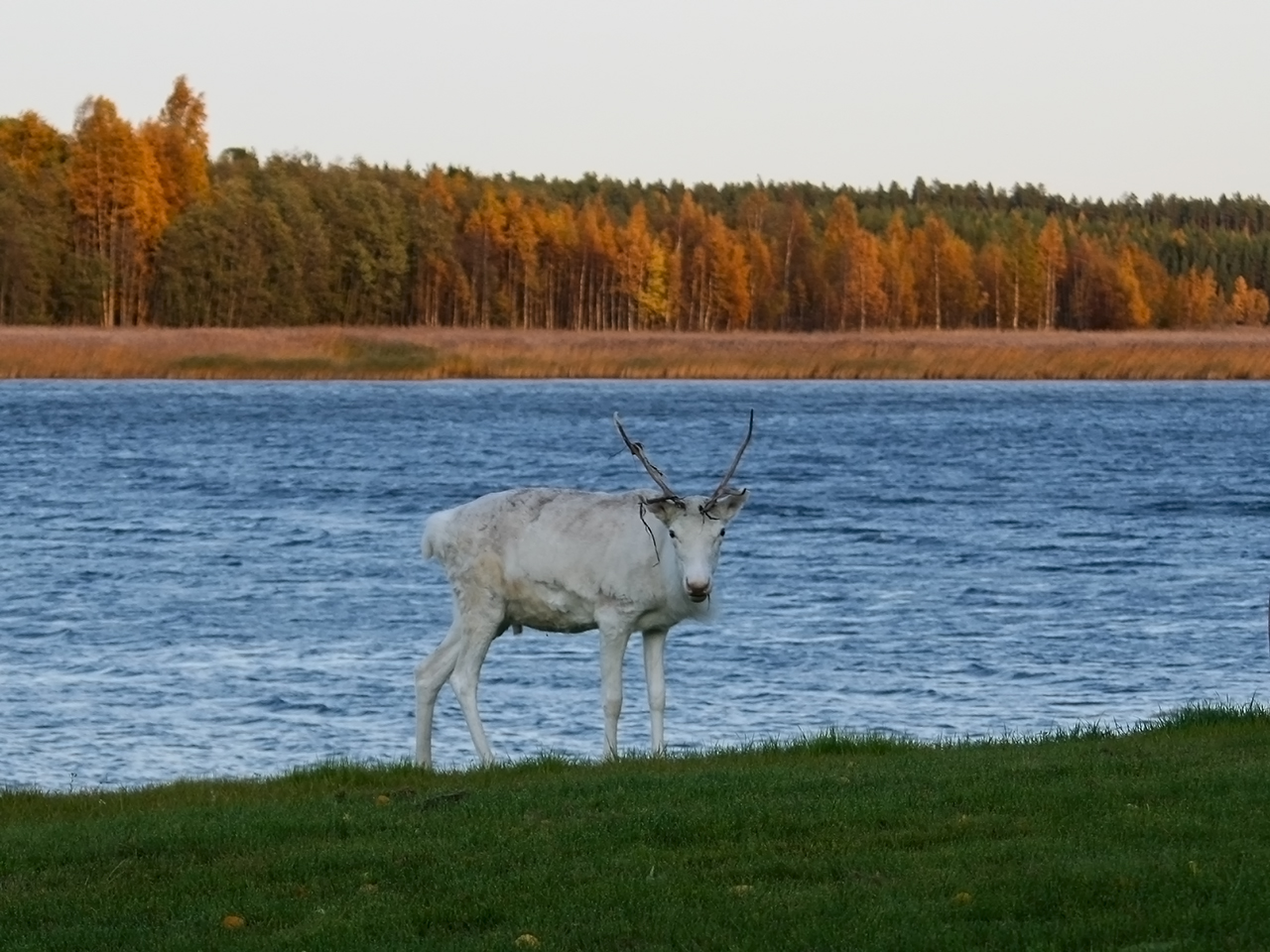 IMG_0363.jpg