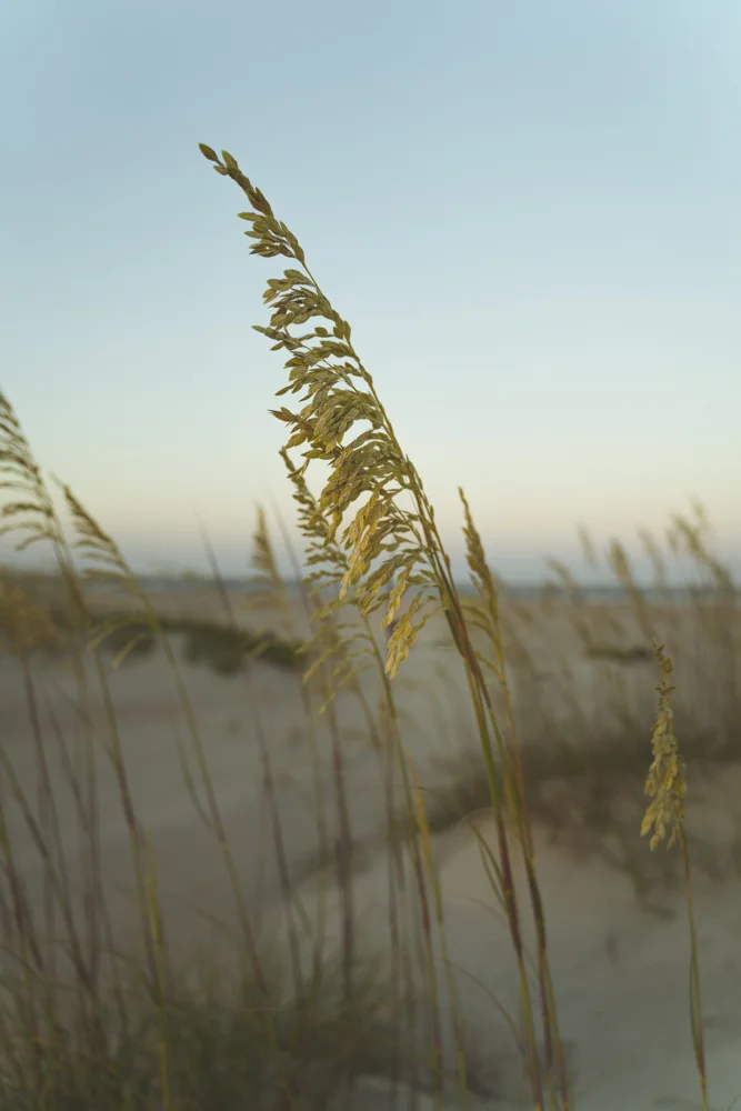 Beach-storm-2125.jpg