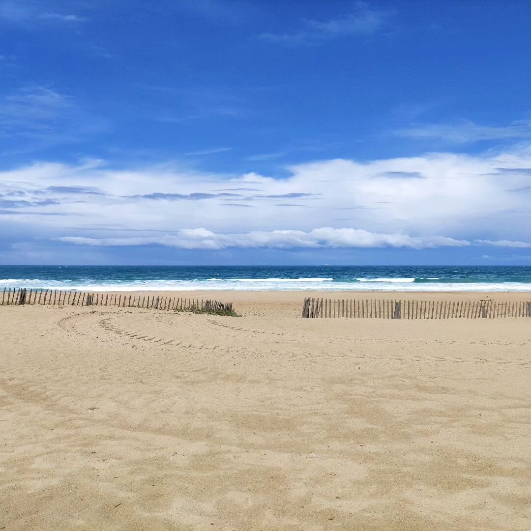 💦☀️🦀🐚

 #anglet #ocean #paysbasque #france #beach #travel #nature ##surf