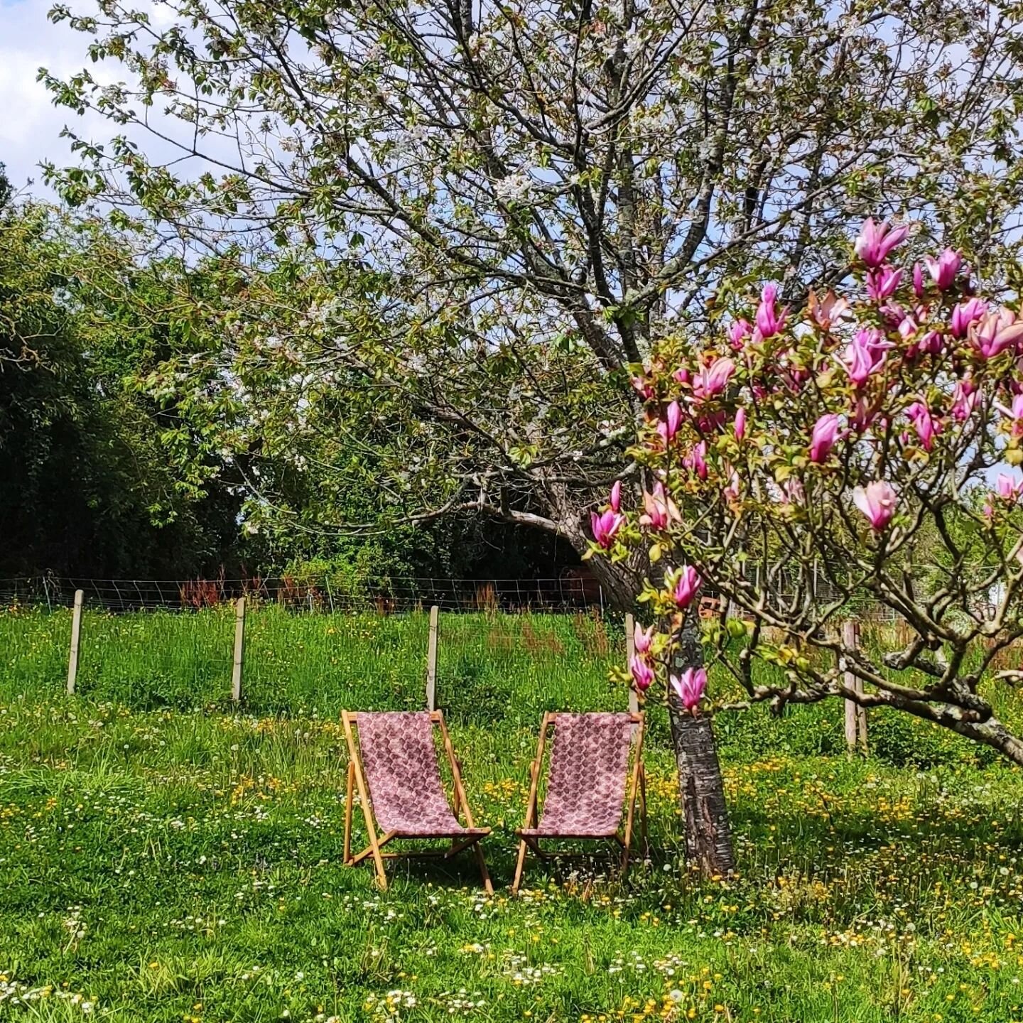 Qu'est-ce que j'aime notre jardin, notre maison
M&ecirc;me si a l'heure actuelle tout est mode freestyle... 
M&ecirc;me si parfois la fatigue se fait sentir, qu'on s'arrache les cheveux pour r&eacute;nover cette maison toute biscornue de 1890... 
Je 