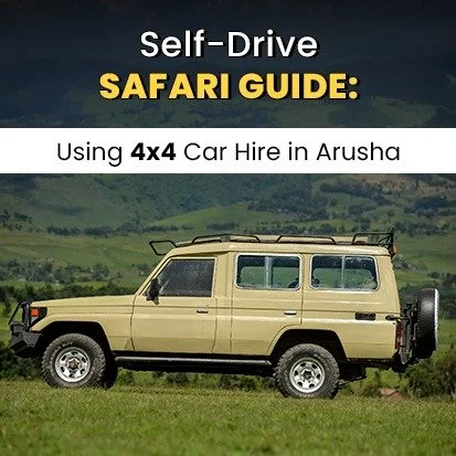 Self-Drive Safari Guide: Using 4x4 Car Hire in Arusha