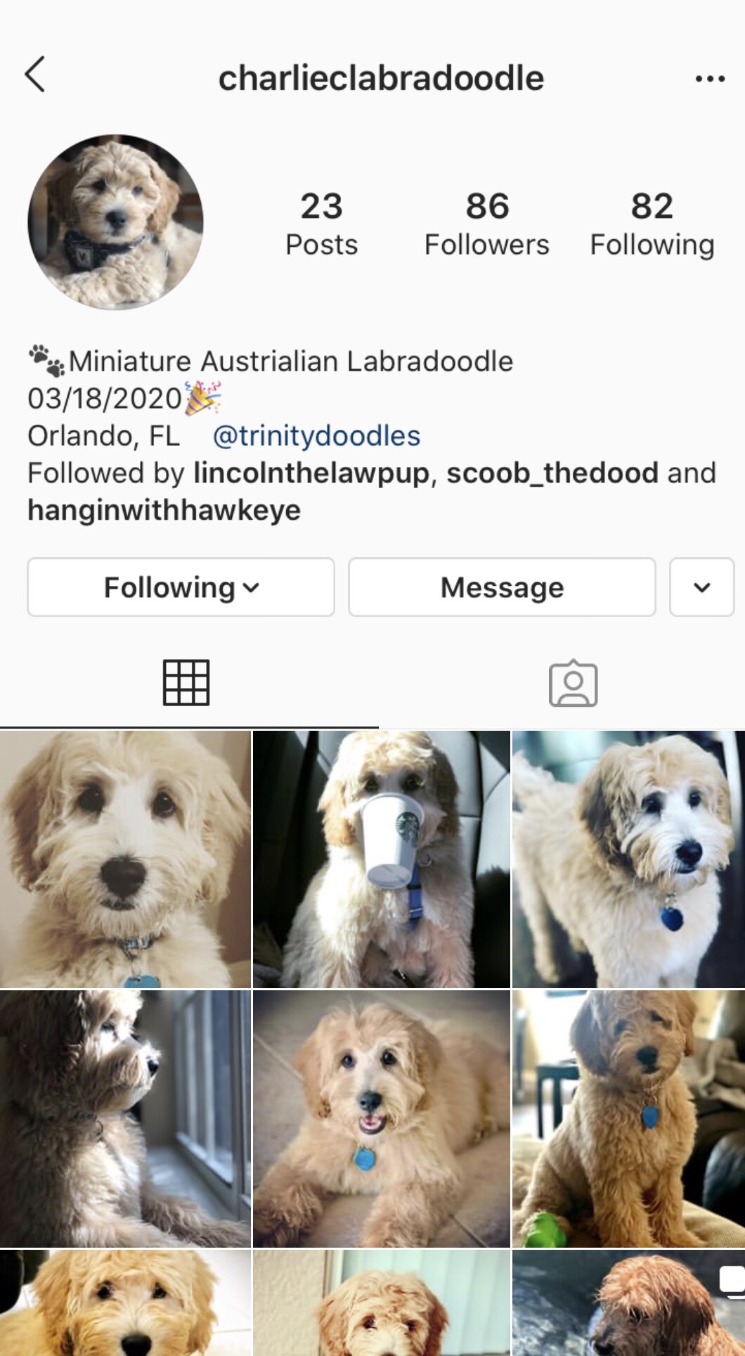 Tearribles (@tearribleinstincts) • Instagram photos and videos