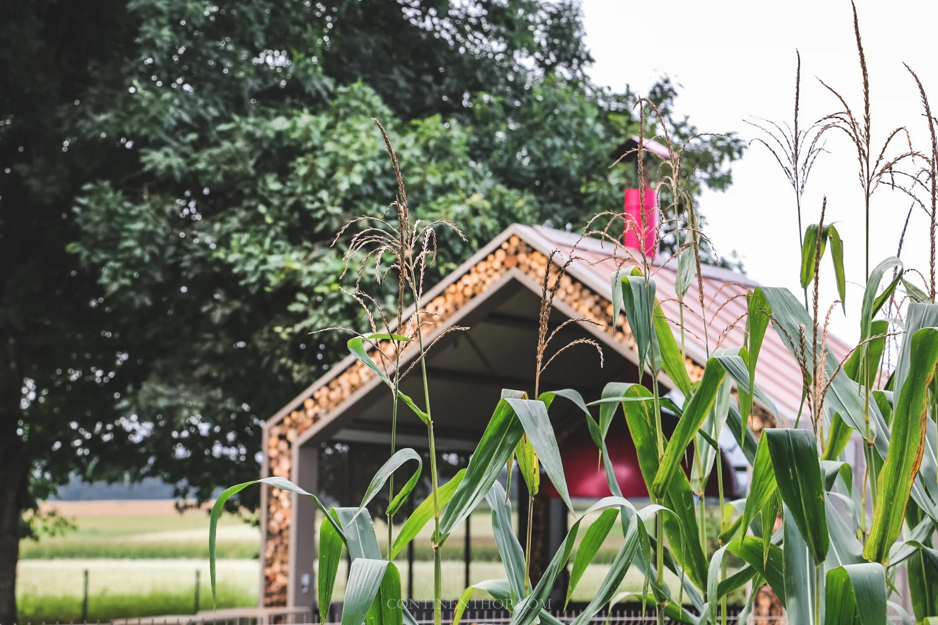 barbeque area at big berry luxury glamping resort in bela krajina slovenia