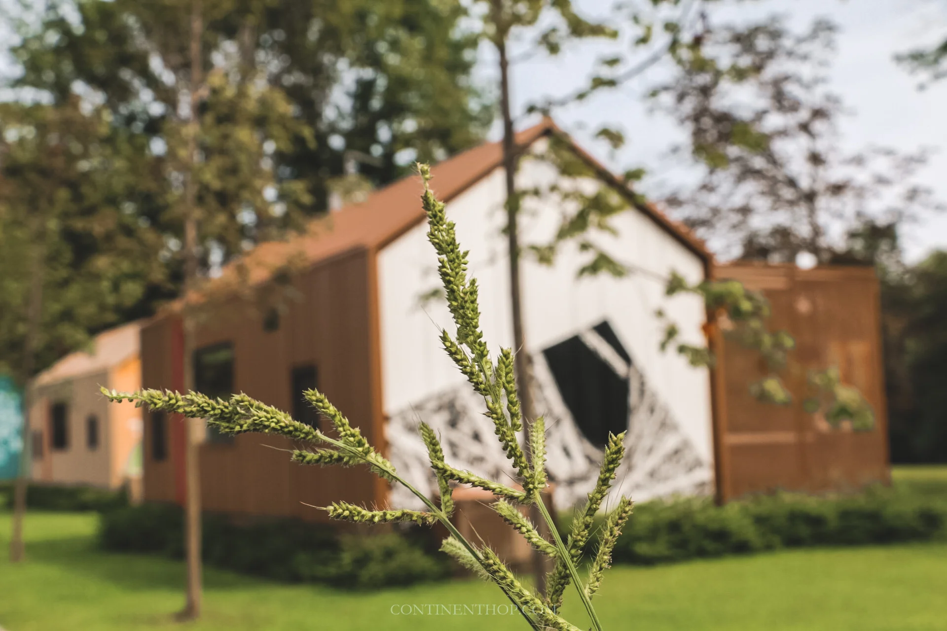 luxury glamping hut at big berry resort in bela krajina slovenia