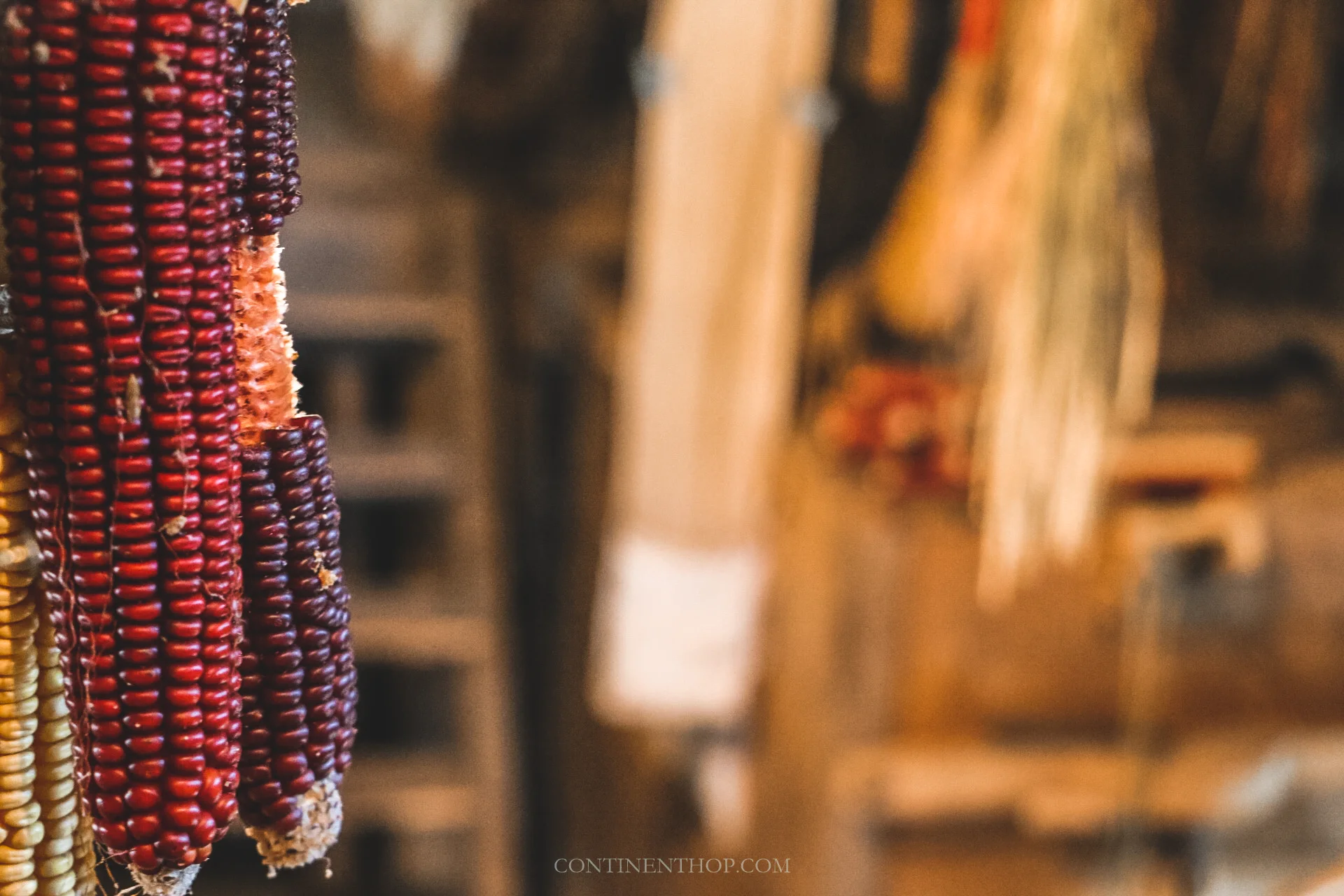 corn at domacija kuzma mill excursion from big berry luxury glamping resort in bela krajina slovenia