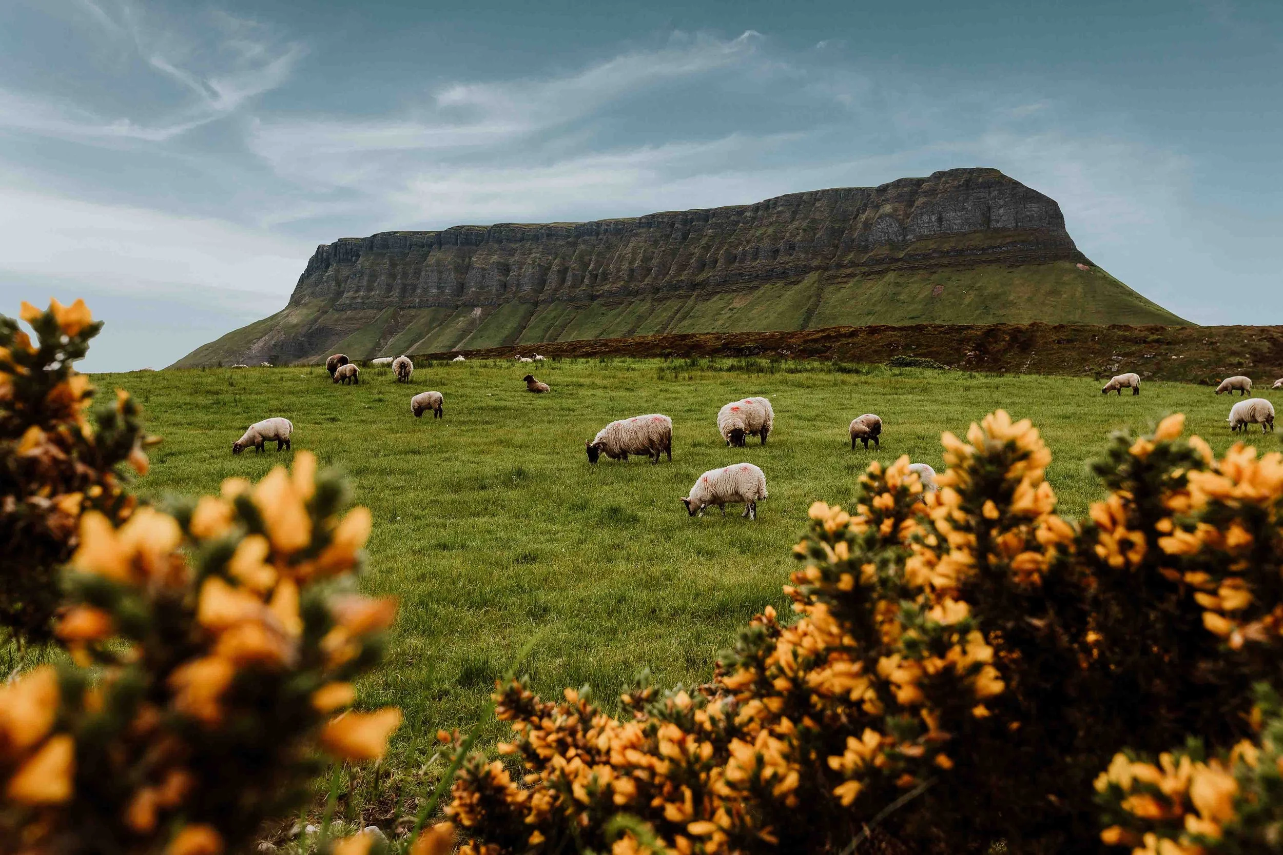 Ireland in Spring A Travel Guide for the Best Things to do in Ireland — Continent Hop