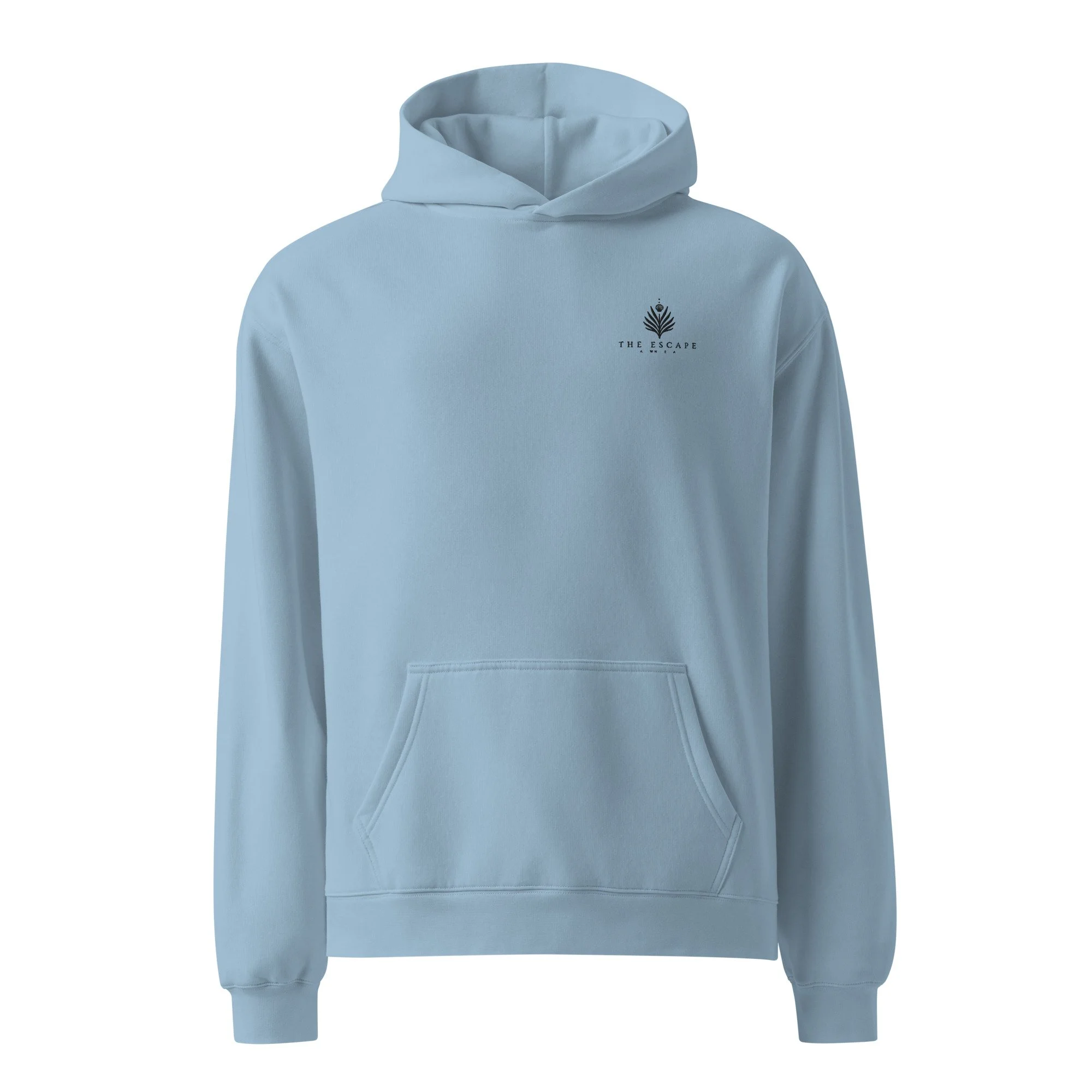 unisex-relax-hoodie-carolina-blue-front-6a0d39655fe3a.jpg
