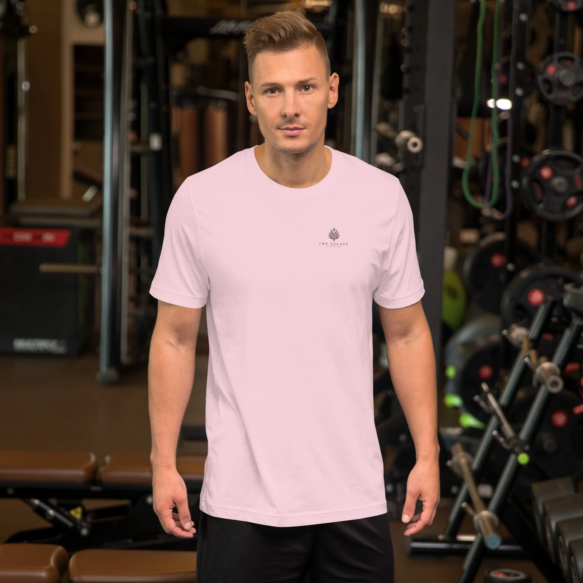 unisex-staple-t-shirt-soft-pink-front-6a0d3e5883a04.jpg