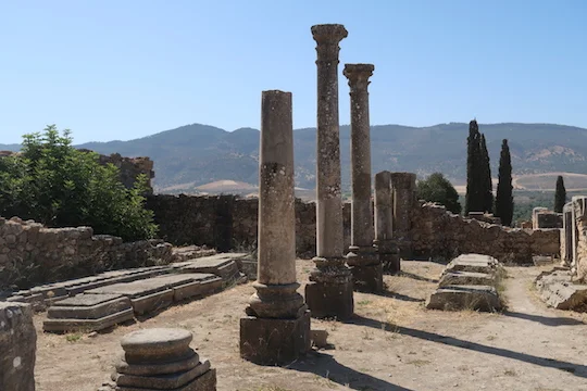 volubilis3.JPG