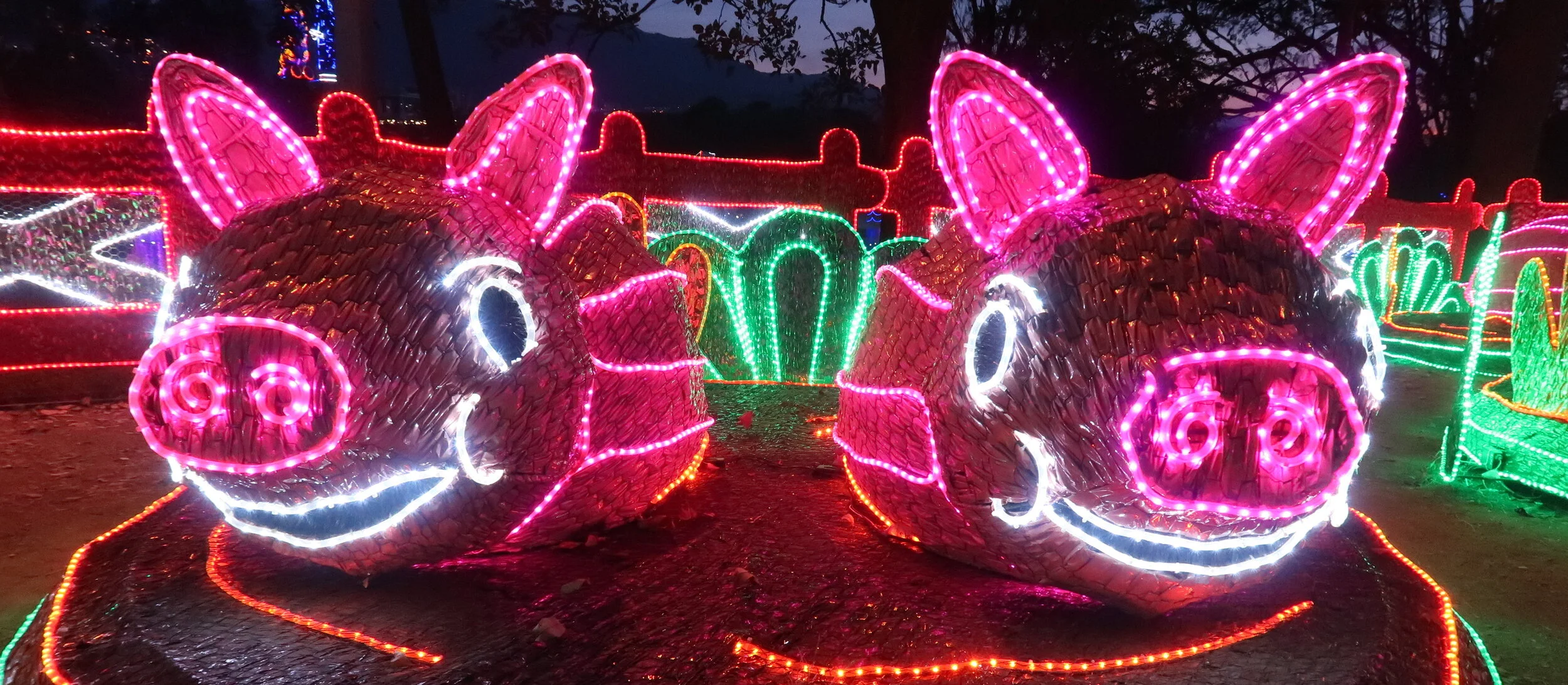 They Eat ... Medellín Christmas
